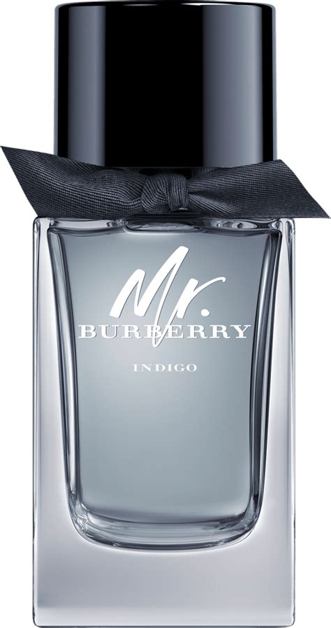 mr burberry men eau de toilette spray|mr Burberry indigo 100ml.